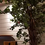 אכסניה Hi Haraldsheim אוסלו
